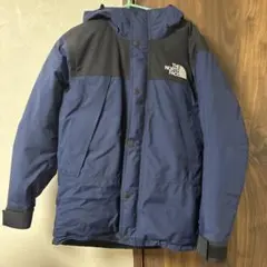 THE NORTH FACE MOUNTAIN DOWN JACKET