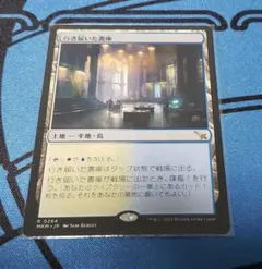 2025年最新】行き届いた書庫の人気アイテム - メルカリ