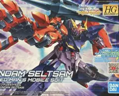 ガンプラ HG 1/144 ガンダムゼルトザーム