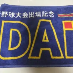 健大高崎 野球大会出場記念 タオル 応援グッズ