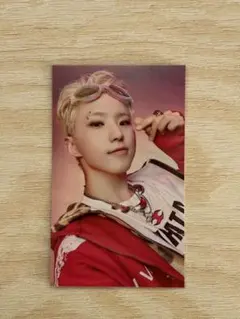 SEVENTEEN BSS ホシ ブソクスン TELEPARTY ユニバ特典