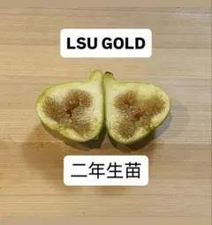 mutuo2様 リクエスト 2点 まとめ商品