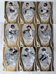 Item thumbnail for item 83e7c9f8-8bf5-44ee-98d1-0d24c08c0f25