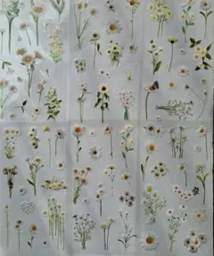 Item thumbnail for item a45496e4-6312-4d2b-89c2-43beee78a209