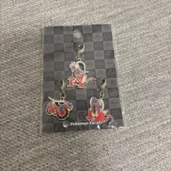 ポケモン　コライドン　メタルチャーム