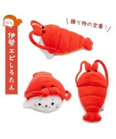 しろたん　お歳暮マスコット　伊勢海老しろたん