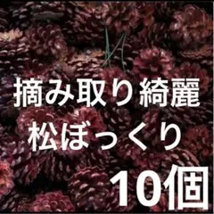 はるみ様 リクエスト 2点 まとめ商品