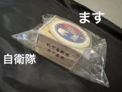 Item thumbnail for item a2250794-5d10-46d5-ade6-0eee5684a193