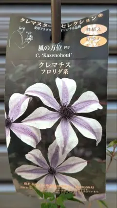 2025年最新】クレマチス風の方位の人気アイテム - メルカリ