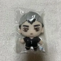 ハイキュー!! 北信介 セガくじ ぬいぐるみ