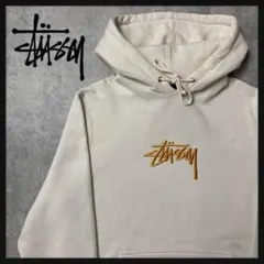 【人気デザイン】ステューシー　センター刺繍　パーカー　人気カラー　即完売