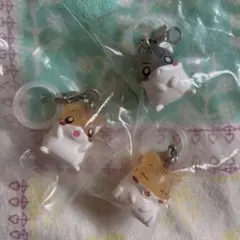 ハムスター倶楽部 めじるしアクセサリー 3点セット