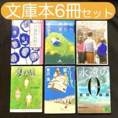 【 文庫本 】6冊セット - 林真理子, 重松清, 他