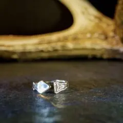 ハリーポッター マールヴォロ・ゴーントの指輪 ノーブルコレクション