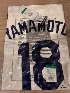 n様専用【新品未開封】北海道日本ハムファイターズ 柳川大晟 レプリカ