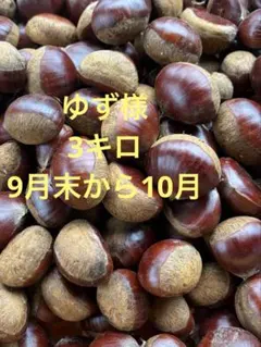 つむぎ様　生栗　10キロ つむぎ様 生栗10キロ ② - メルカリ