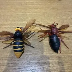 リアル昆虫フィギュア 2体セット