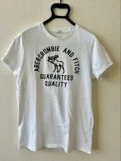 Abercrombie & Fitch Tシャツ 半袖 ホワイトのサムネイル