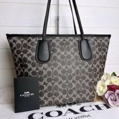 希少】COACH コーチ モノグラム ハンドバッグ ミニトート ブラウン 