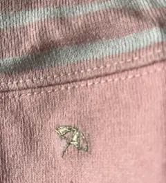 アーノルドパーマー　レディースカットソー五分袖