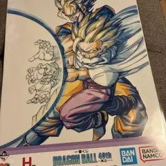 一番くじドラゴンボール　40th H賞　親子かめはめ波