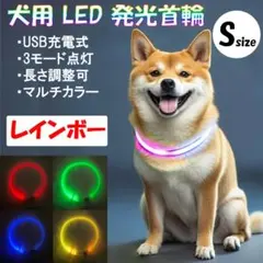 Item thumbnail for item 048c3daf-e025-4576-8507-c8a35b483c83