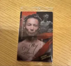 Item thumbnail for item 1c825d3c-9447-4fd3-b153-dac49129097b