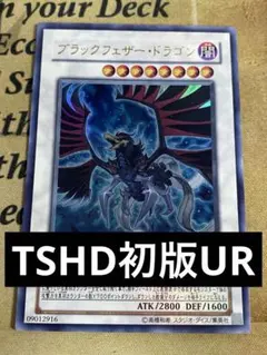 2025年最新】ブラックフェザードラゴン プリズマの人気アイテム