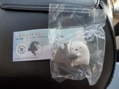 すみっコぐらし×神戸須磨シーワールド 限定シャチ＆しろくま