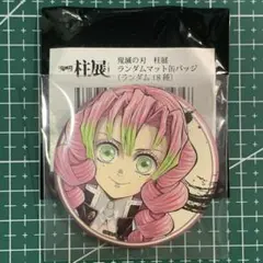 2025年最新】柱展 ピンズ 甘露寺の人気アイテム - メルカリ