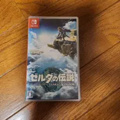 ゼルダの伝説 ティアーズ オブ ザ キングダム