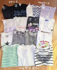 レディースS〜L,Freeサイズ 　　　　　　　 半袖Tシャツ、ブラウスセット