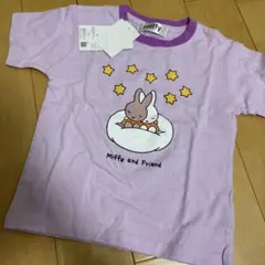 Item thumbnail for item 07c14517-bfbe-4f60-acd4-e8b76aa11742