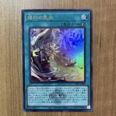 遊戯王 禁じられた一滴 25th クォーターセンチュリーシークレット