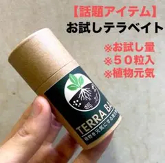 2026年最新】homalomenaの人気アイテム - メルカリ