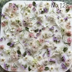 No,125 特小小花ミックス　ドライフラワー花材