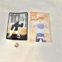 日向翔陽 ハイキュー フォンタブコレクション