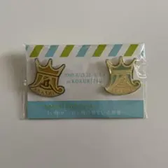 嵐 コンサートグッズ 国立 会場限定 ピンバッジ