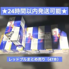 1本あたり140円　レッドブル　250ml　47本セットのサムネイル