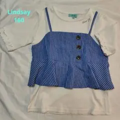 Lindsay ストライプ柄 Tシャツ 160