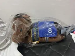 超希少エラー品 サラコレ ドリームジャーニー（ゼッケン：オ