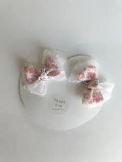 Item thumbnail for item 25f26dc0-bda7-43bf-8c9f-6225f26b662c