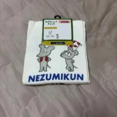 ねずみくんのチョッキ ハンドタオル 2枚組 34x35cm