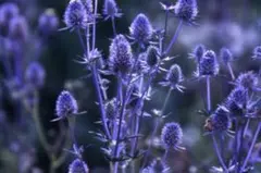 もり子様 リクエスト 2点 まとめ商品