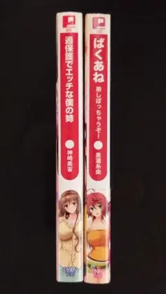 2026年最新】二次元ドリームノベルズの人気アイテム - メルカリ