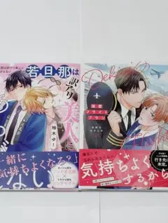 若旦那は訳アリ美人にあらがえない 柚木ゆー 溺愛フライトプラン宮野川ゆきたろ