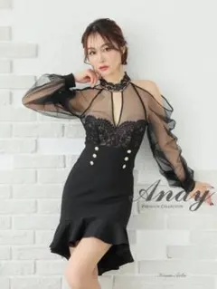 本日のみ値引き！Sサイズ【ANDY/アンディ】シアー/ レース/ マーメイド