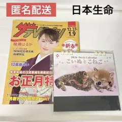 Item thumbnail for item af462a9c-77eb-44ff-9eb0-6a3792569df1