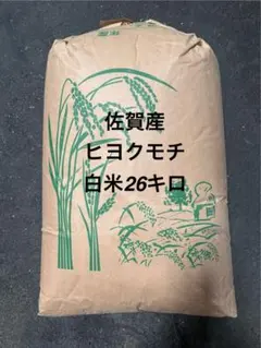兵庫県産 キヌヒカリ 玄米 25kg 2025年度産 兵庫県産 キヌヒカリ 玄米 25kg 2025年度産 - メルカリ