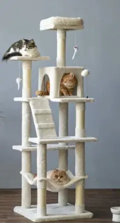 Item thumbnail for item 0b39870b-771a-4501-ab55-546c290988c2